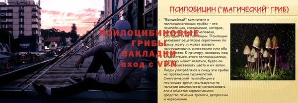 трава Кулебаки